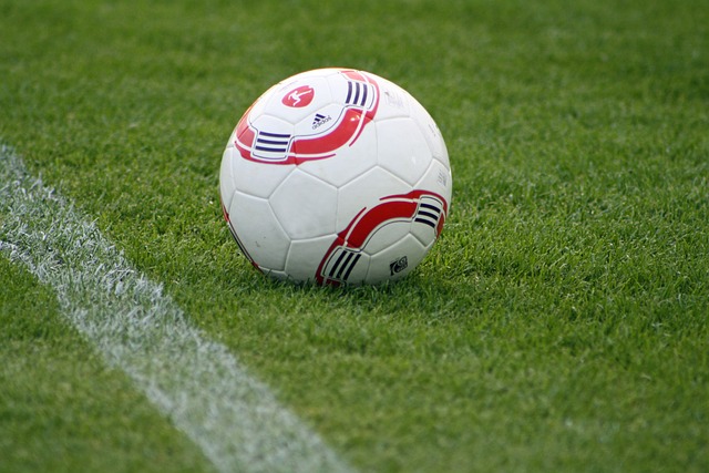 以填补其离 以填补其离