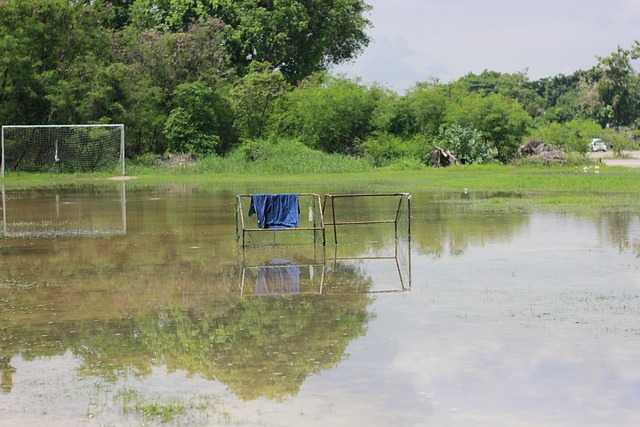一个富有影 一个富有影
