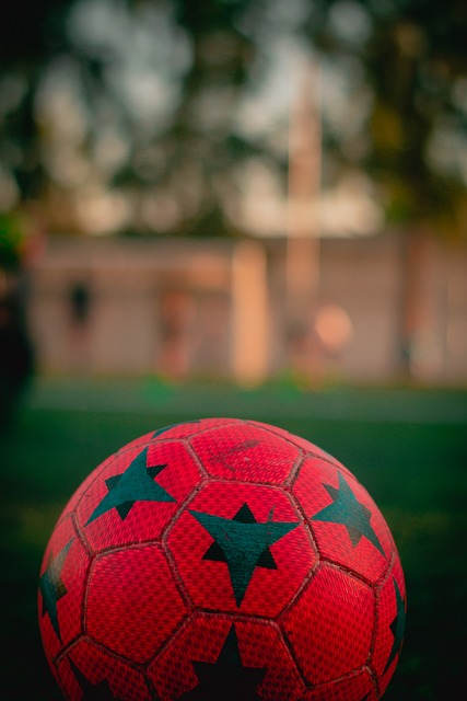 为激情与荣誉而战 2023哈尔滨马拉松参赛服来了.